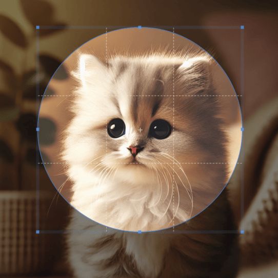 Circle crop demo steps